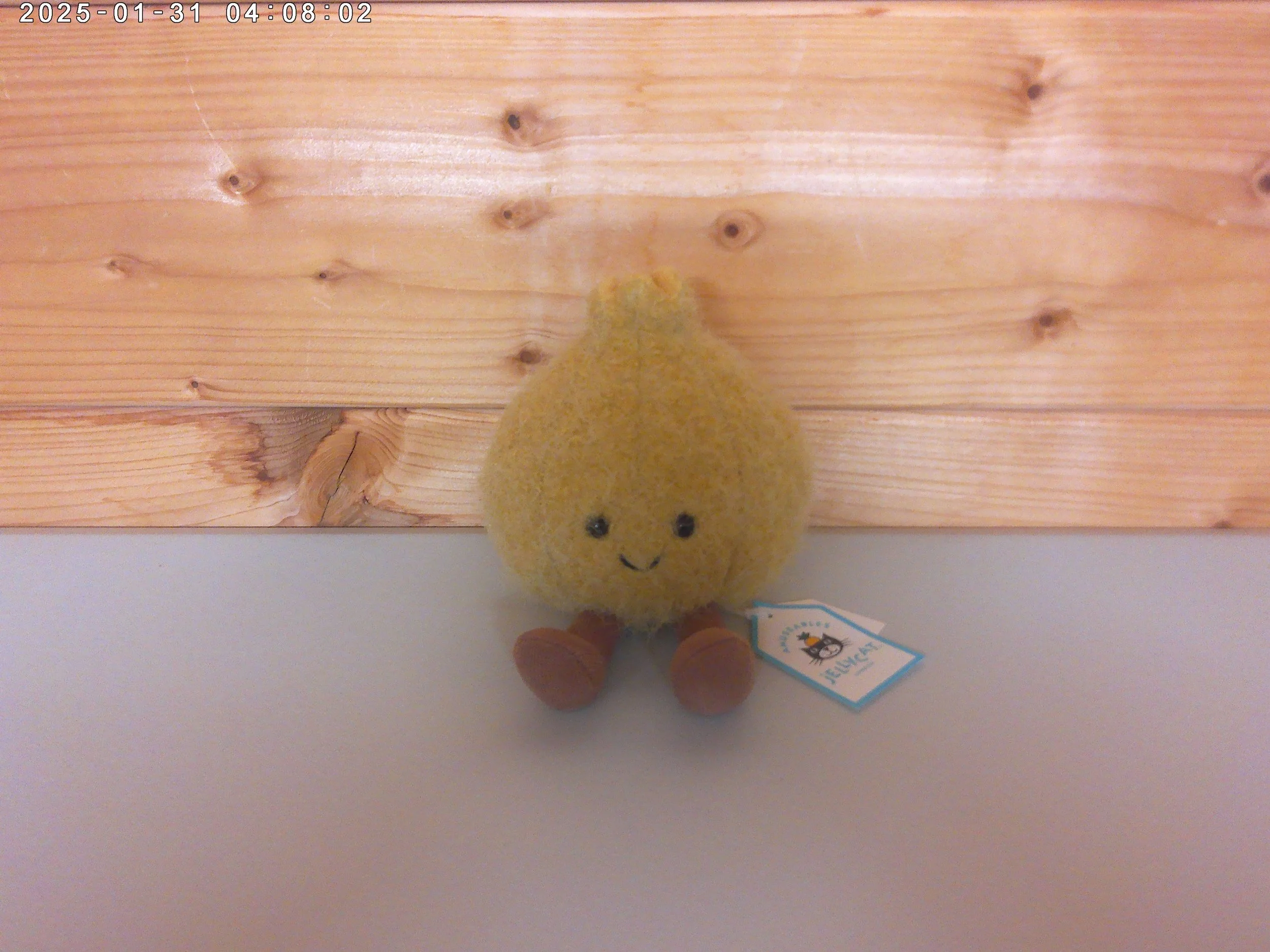 Jellycat Onnie Pickled Onion - New with Tags - Exclusive to